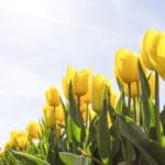 NH Agent’s Guide to Working the Spring Market